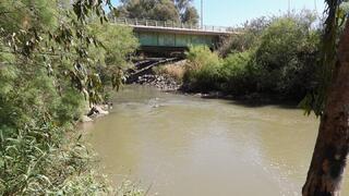 חשש מפגיעה בטבע. נהר הירדן באזור גשר הפקק
