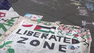 Pro-Palestinian rally in the U.S.