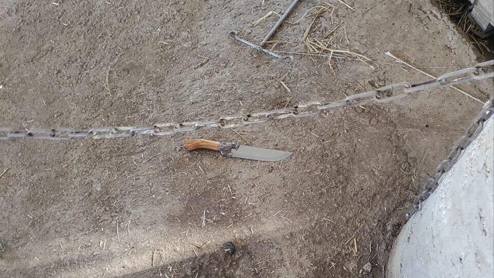 סכין של מחבל שנוטרל ליד שמעה