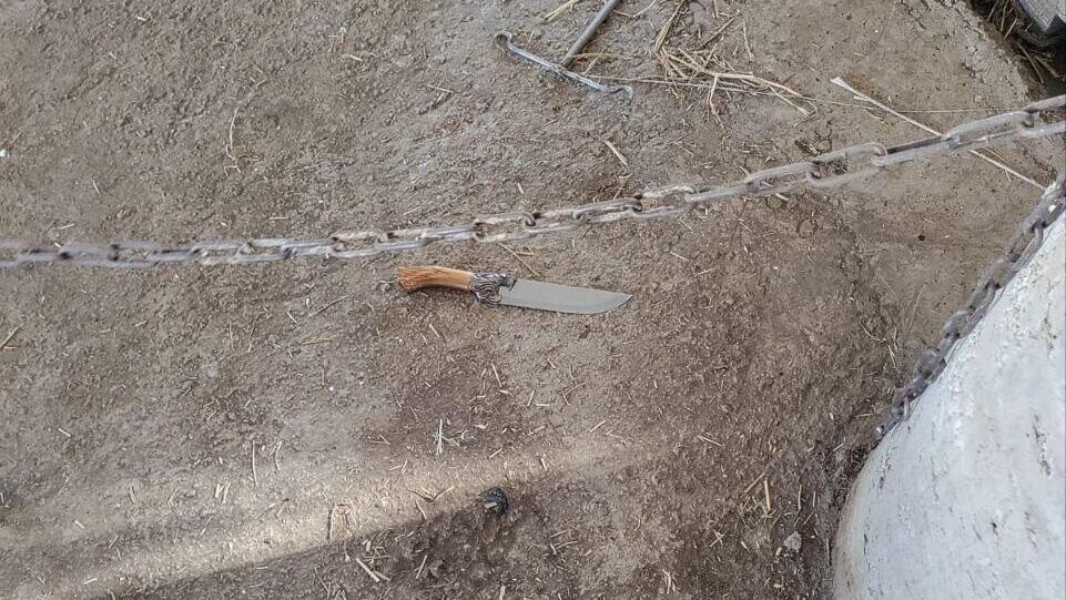 סכין של מחבל שנוטרל ליד שמעה