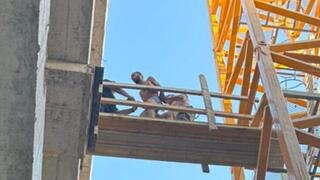  מעצרו של החשוד בפיגוע הדריסה בכפר יונה באתר בניה 