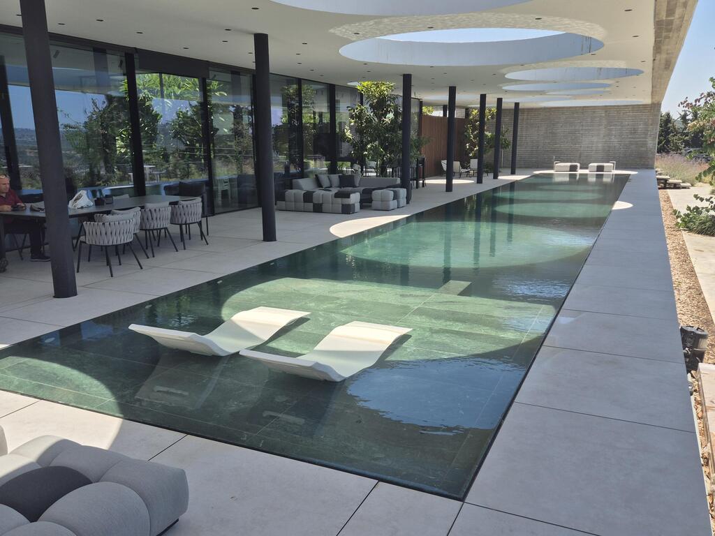 בריכה בעיצוב דני ישראלוביץ