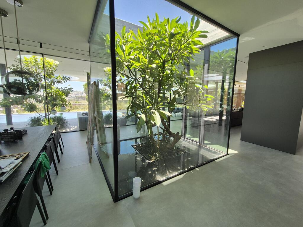 בריכה בעיצוב דני ישראלוביץ