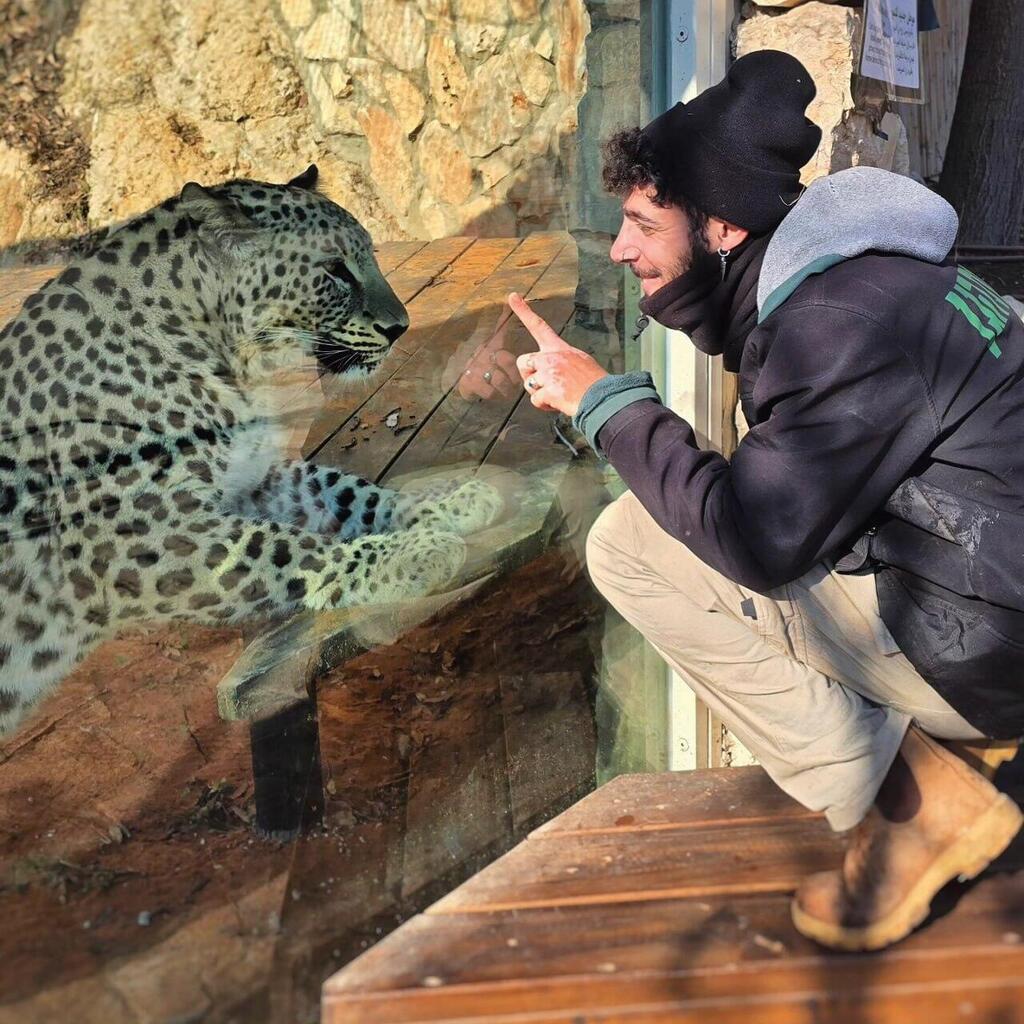Uriel Nuri with a Persian tiger at the Jerusalem Zoo 