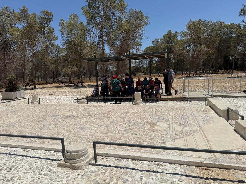 Photo: Tal Sigron Buzzy