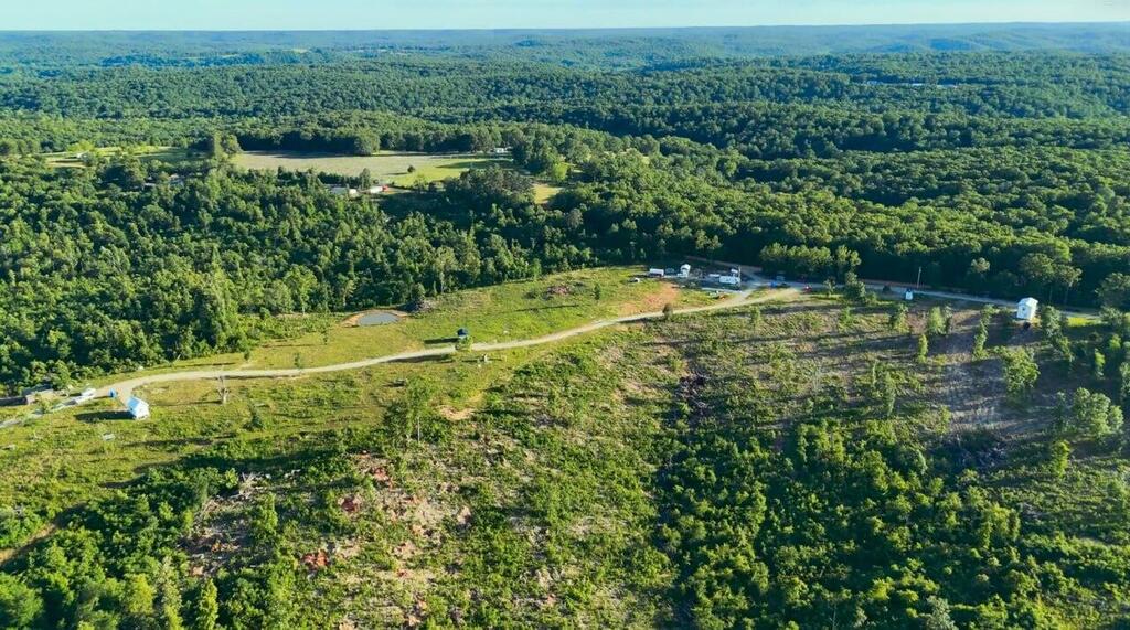 בחזרה לאדמה עיירה יישוב לבן לבנים בלבד רק ארקנסו ארה"ב ארהב ארצות הברית דרום אריק ארוול פיטר סרי אנטישמיות אוזרק אוזרקס