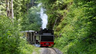 המסע לרומניה