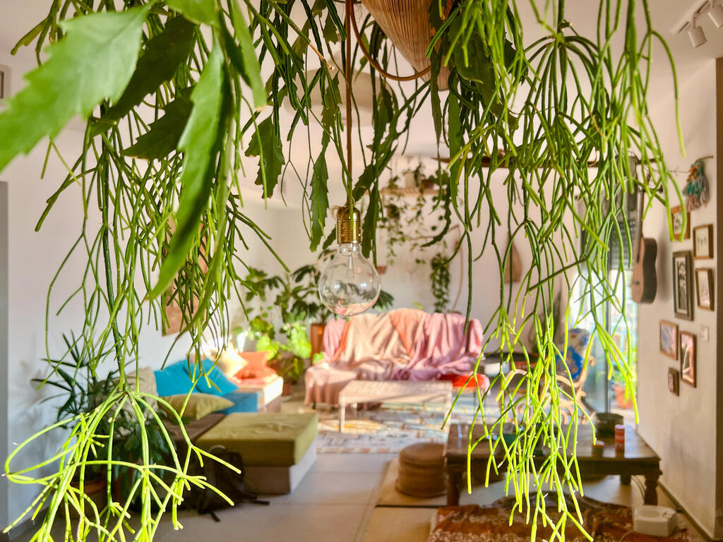 Above the island, a palm frond spoon topped with succulents (Photo: Rinat Tal) מעל האי כף תמר