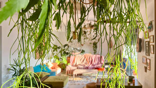 מעל האי כף תמר