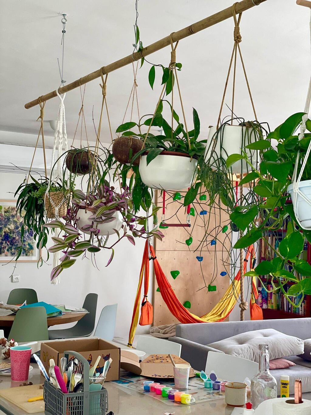 Above Chen and Dror’s island, a “ninja” setup for plants, with a ninja rig for people in the background (Photo: Rinat Tal) מעל האי של חן ודרור - נינג׳ה לצמחים ונינג׳ה לאנשים