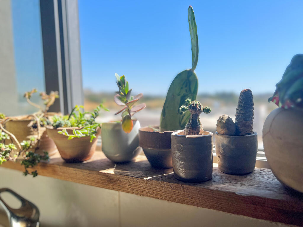 A windowsill with an extended shelf, with care not to bump into the faucet (Photo: Rinat Tal) אדן חלון עם מדף העמקה