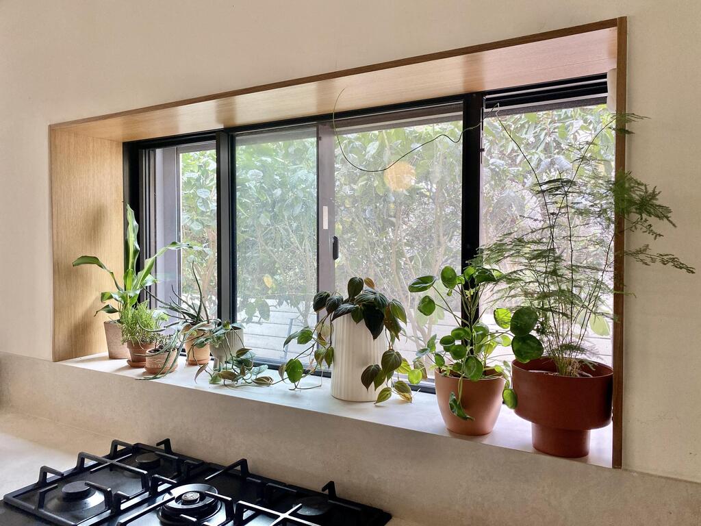 Plants on a wide kitchen windowsill in Limor’s home (Photo: Rinat Tal) אדן חלון רחב במטבח של לימור, אדריכלות ועיצוב פנים: Freespace Architecture