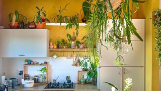 מעל האי כף תמר