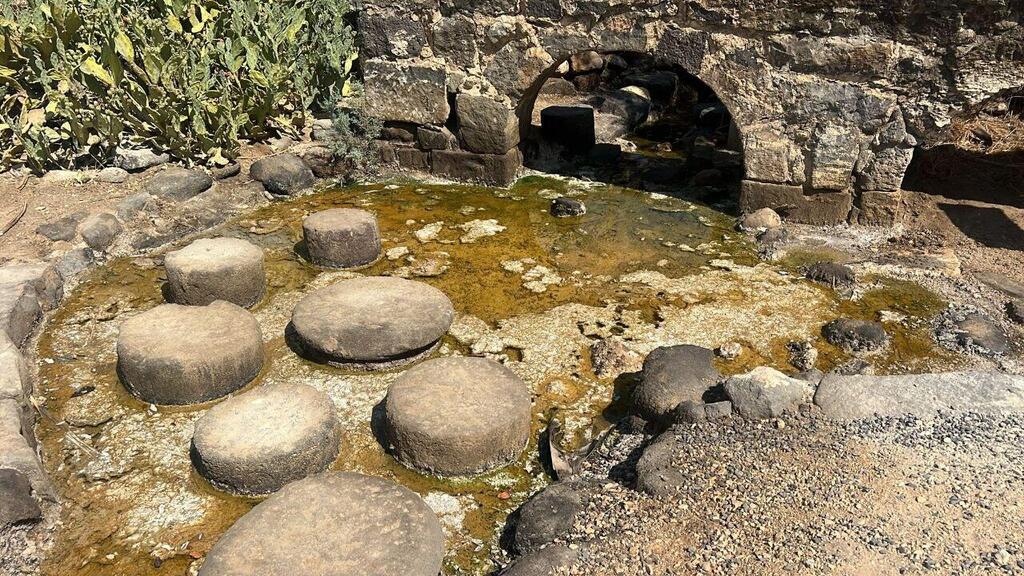 מראה עצוב לא רחוק מהכינרת