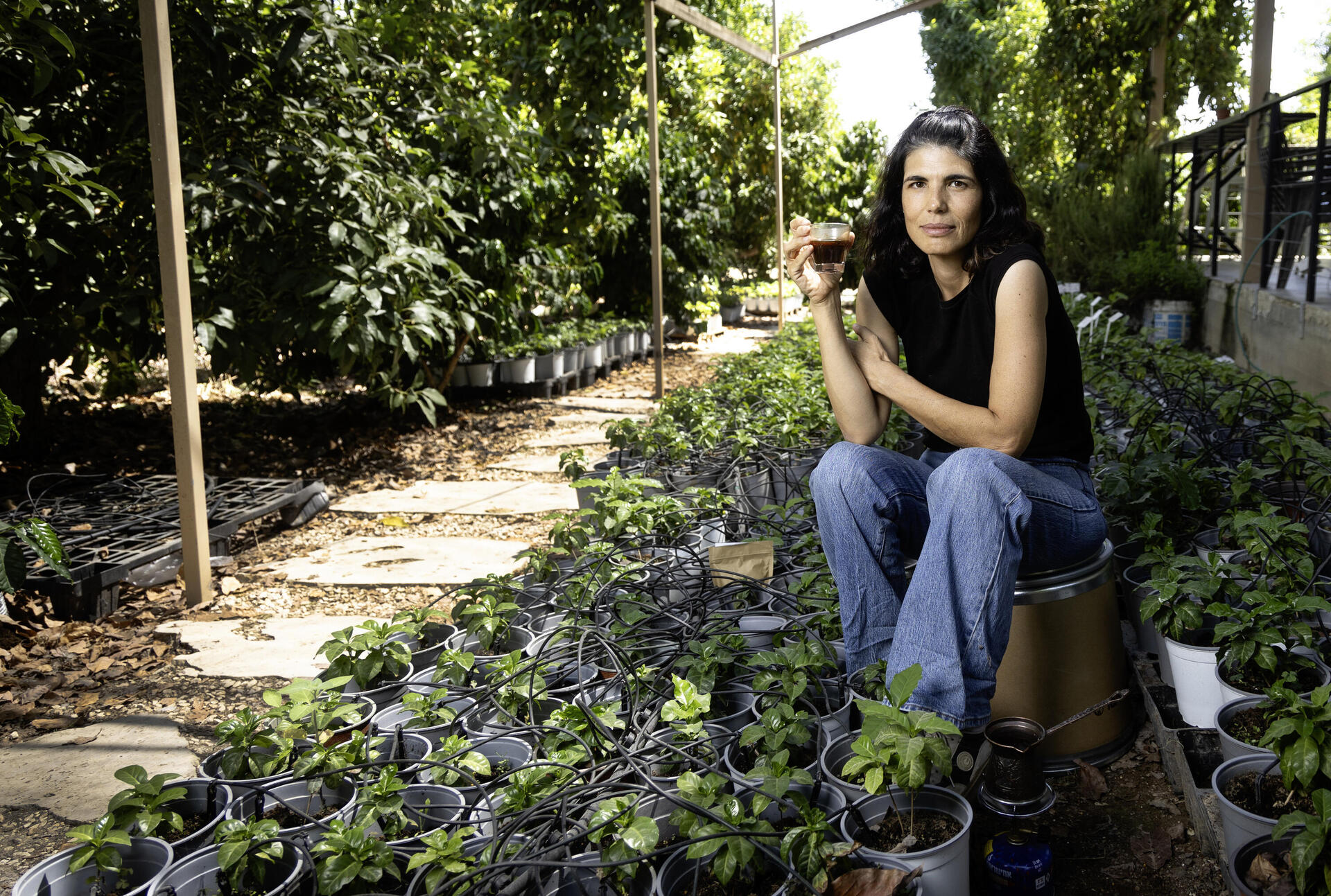 דקלה פוקס במטע הקפה שהיא מגדלת 