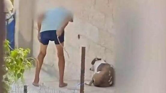 קשה לצפייה: אדם מכה את כלבו עם מקל