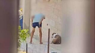 קשה לצפייה: אדם מכה את כלבו עם מקל