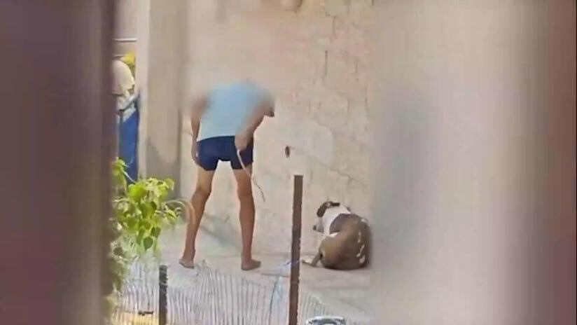 קשה לצפייה: אדם מכה את כלבו עם מקל