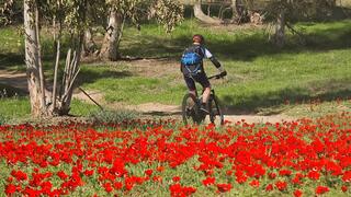 מסלולי בארי-שוקדה, לאורם של אברומי דויטש ונעה זאבי שנפצעו בקרב ובתהליכי שיקום