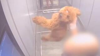 בעלי הכלב חונק ומטיח אותו לרצפה