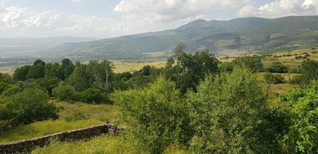 Ein Fit (Photo: Society for the Protection of Nature in Israel) כפר עין פית המקום בו יקים צה"ל מתקן צבאי שיהרוס את שמורת ה טבע