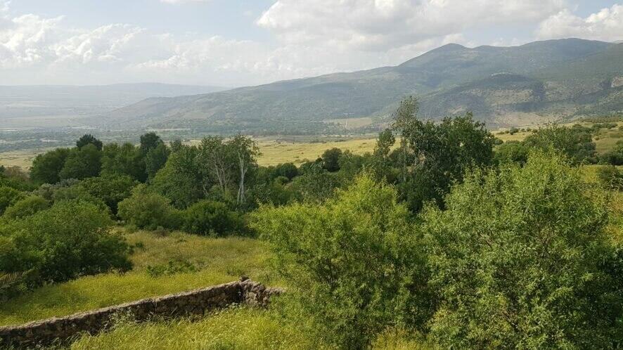 Ein Fit (Photo: Society for the Protection of Nature in Israel) כפר עין פית המקום בו יקים צה"ל מתקן צבאי שיהרוס את שמורת ה טבע