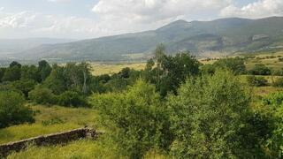 כפר עין פית המקום בו יקים צה"ל מתקן צבאי שיהרוס את שמורת ה טבע