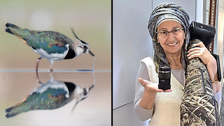 צלמת הטבע לימור גפן