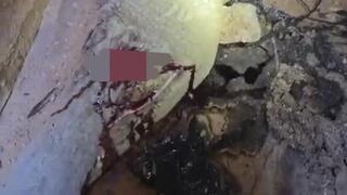 התנין שנורה למוות במסתור