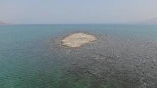 האי המשיך לגדול באוגוסט כתוצאה מירידת המפלס