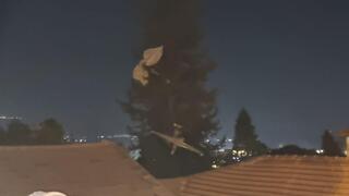 רוכב שמיים נפל על עץ בחצר בית בקריית שמונה
