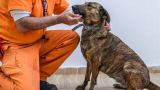 זינה והאסיר