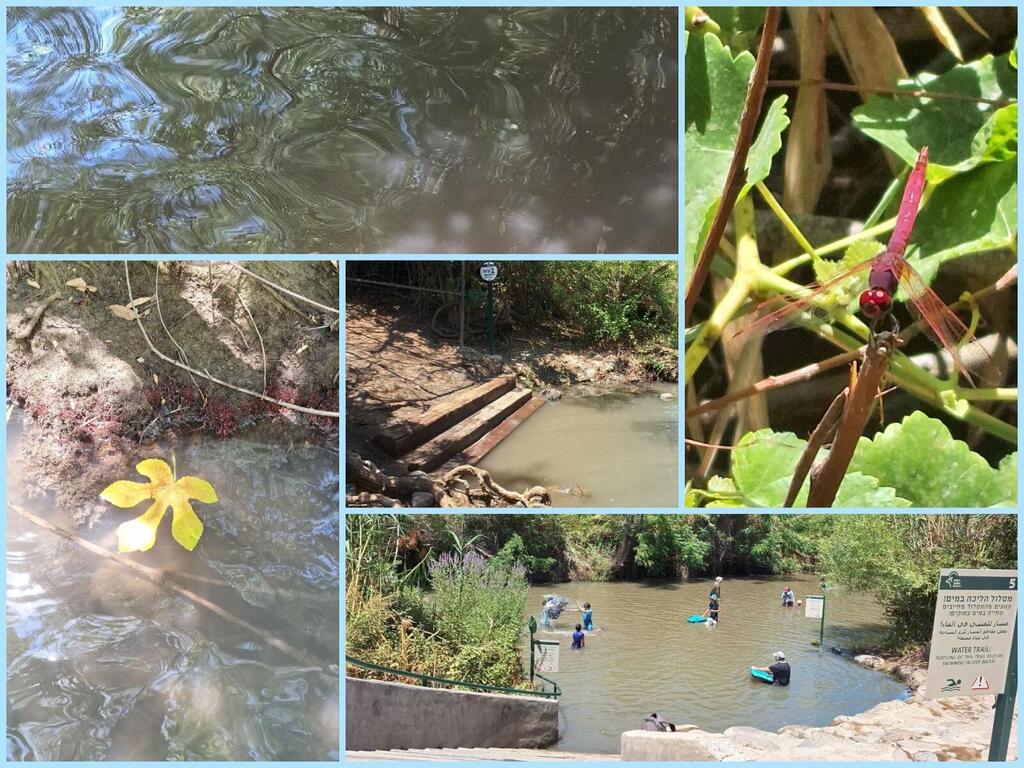 Природа и путешественники 