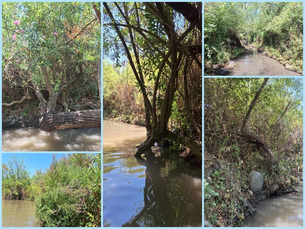 По воде гулять прохладно и приятно, а природа завораживает 