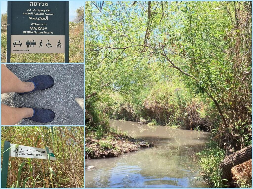 "Мокрый" маршрут в заповеднике Маджраса: аквашузы - обязательно!