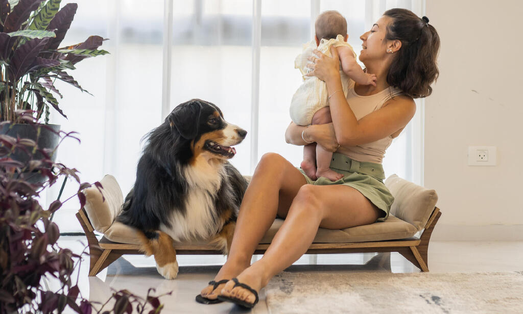 פריטי עיצוב לכלבים, המותג הישראלי HOSA