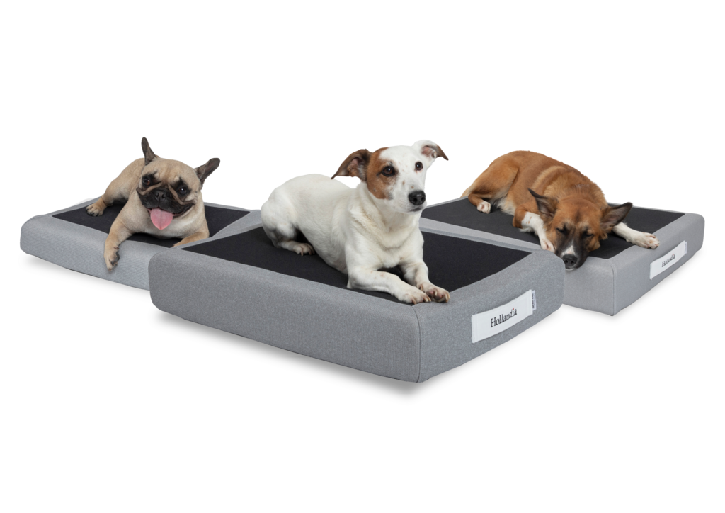 מזרן טמפור לכלב הולנדיה