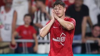 סתיו טוריאל חוגג