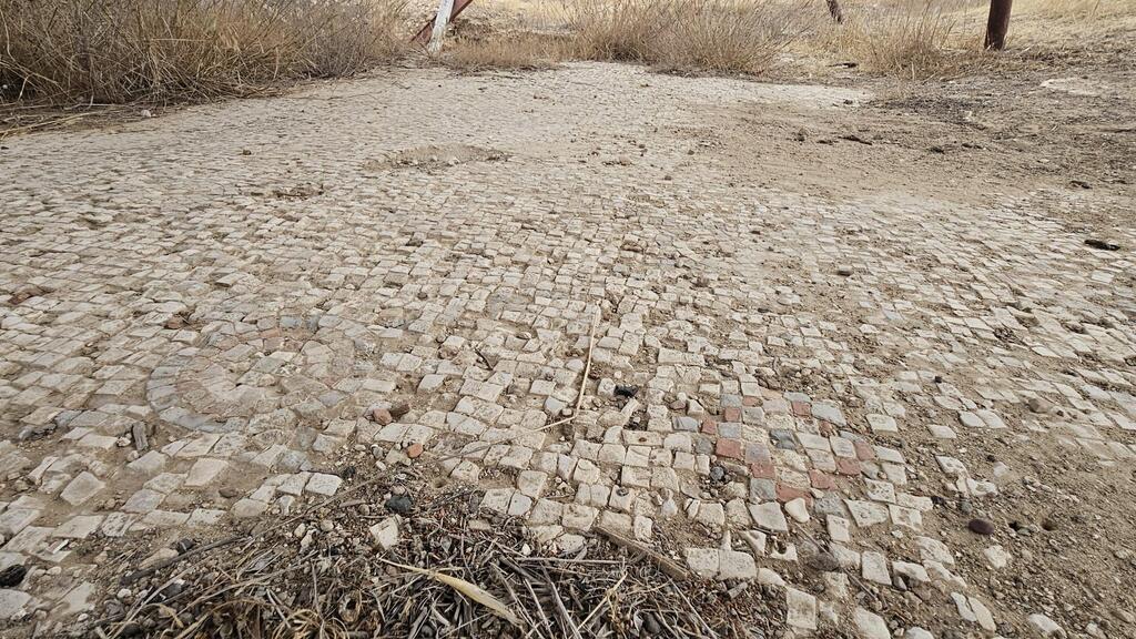 חשיפת הפסיפס לפני ההעתקה