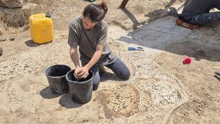 העבודות להצלת הפסיפס