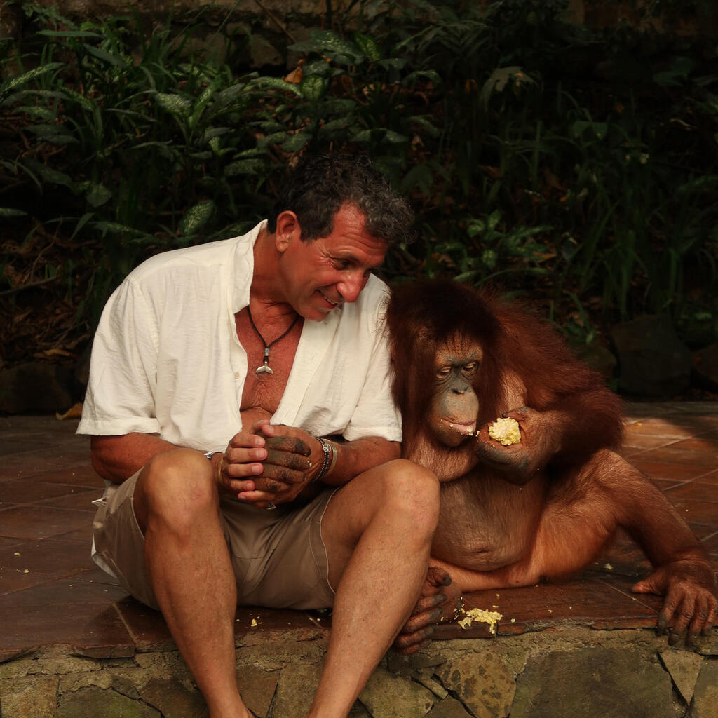 במקלט לחיות