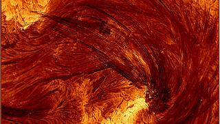 תיעוד לולאות עטרת השמש במהלך ההתפרצות הסולארית שאירעה ב-8 באוגוסט 2024