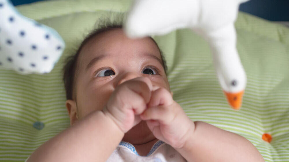 Фото: shutterstock פזילה