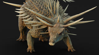 ספיקומלוס אפר 