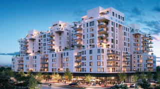 אדרת ברובע הבינלאומי לוד ניר-צבי