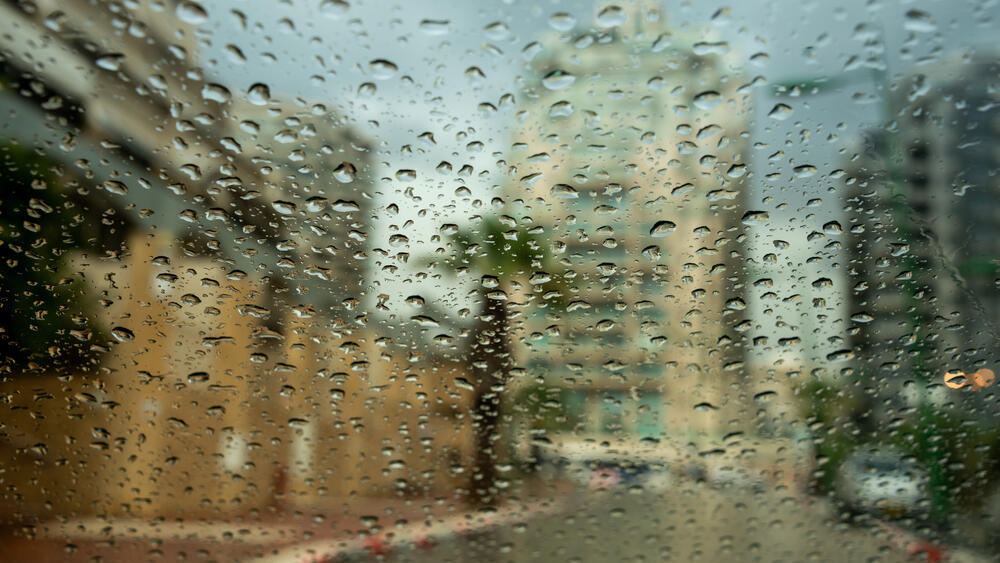 Дождь (Фото: shutterstock) Дождь