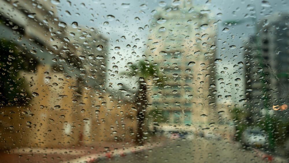 Дождь (Фото: shutterstock) Дождь