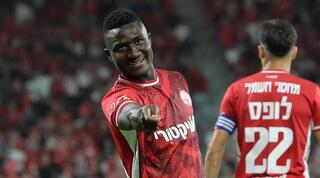 קינגס קאנגווה מאושר