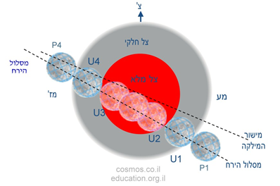 שלבי הליקום