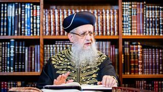 הרב דוד יוסף